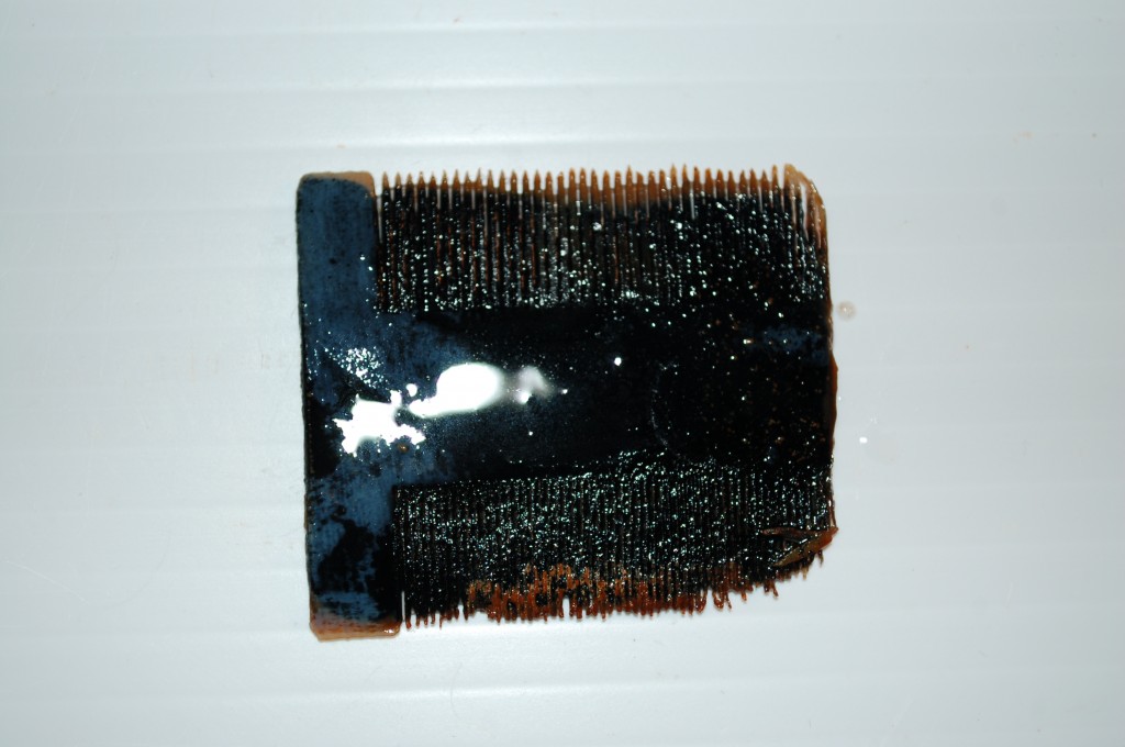 Unexpected lice comb.
