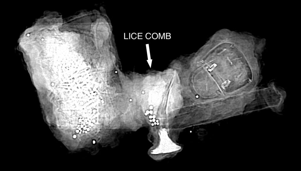 Lice comb in x-ray.