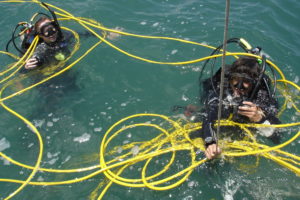 Divers must learn to work around these yellow hookah hoses, lest they tangle themselves in the coils.