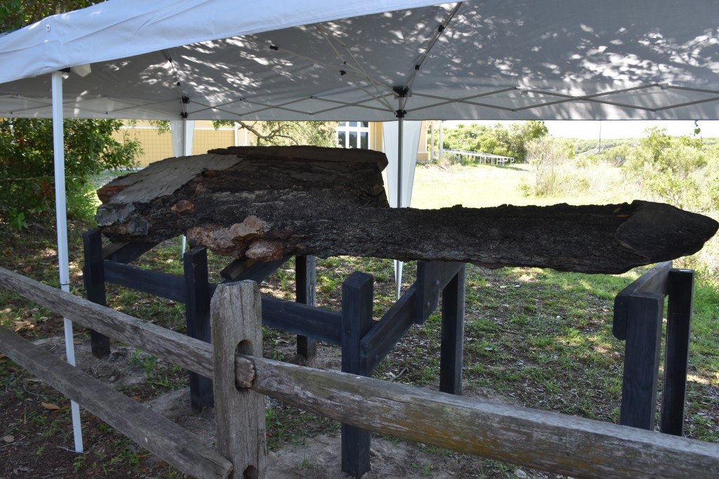 The rudder ready for visitors at the GTM-NERR.