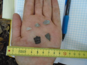 Most of the artifacts found during this survey looked like this - small fragments of modern material.
