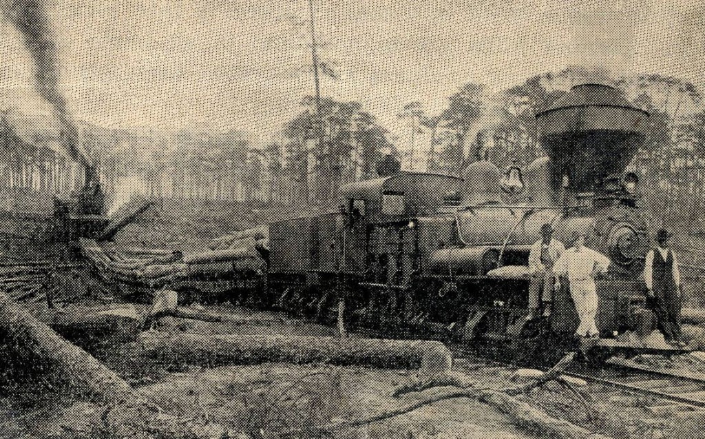 logging-train