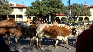 No trip to SHA is complete without learning a bit about the host cities own history. As any Fort Worth local will tell you, no trip to the city is complete without a visit to their historic stockyards.