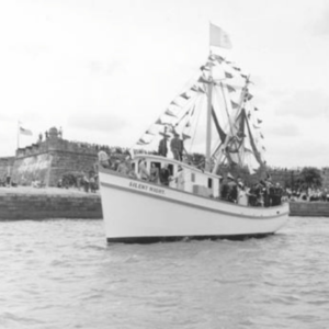 Shrimp Website